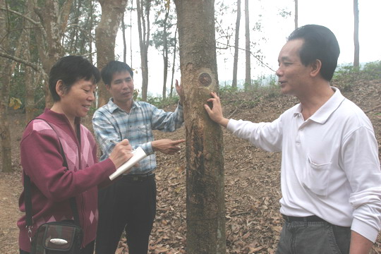 2006年光明日报记者樊云芳采访海南橡胶基地