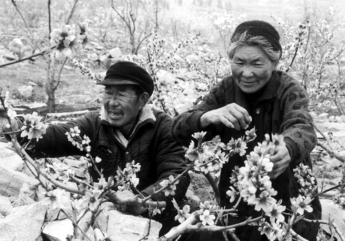 光明日报报业集团主页 - 老人天地 - 劳动创造幸