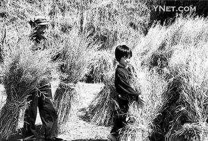 北京希望工程改变他们命运