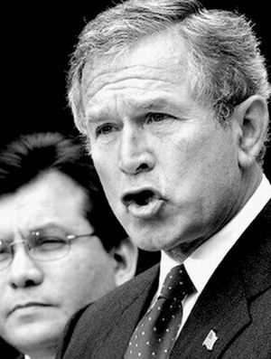 税法改革列布什日程表首位