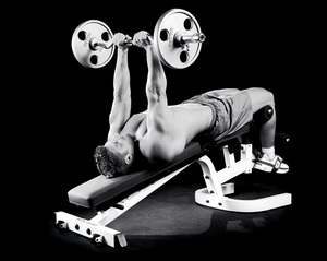 百科全书--肱三头肌训练