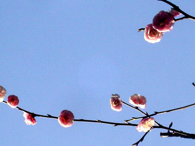 新时代呼唤千万个张云泉