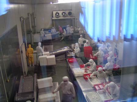 中国第一颗速冻汤圆产地:三全食品股份有限公司