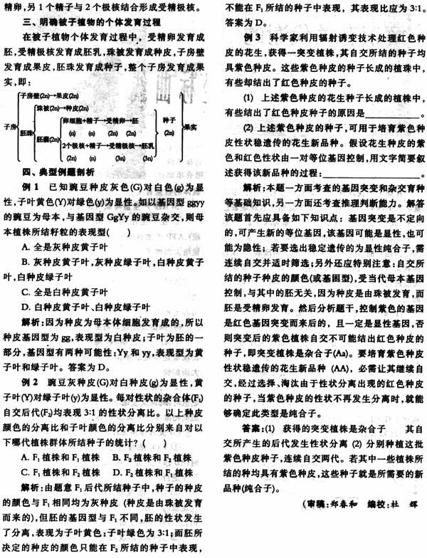 胚、胚乳、种皮、果皮基因型与表现型的判断