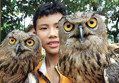 母鸡孵出两只猫头鹰