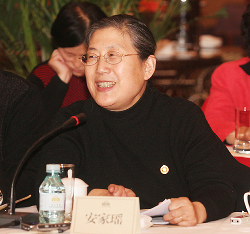 中国社会科学院考古研究所研究员安家瑶:加强