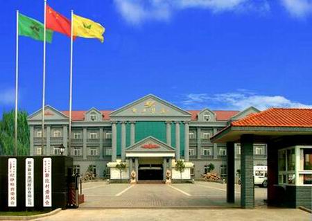 华西村人均收入_人均40平方米