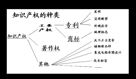 给自主创新以更有力的知识产权保护