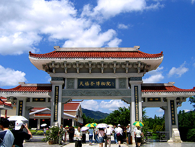 天福茶博院:世界上最大的茶博物馆