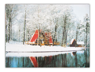 国家森林城市人均公园_森林人均蓄积量(3)