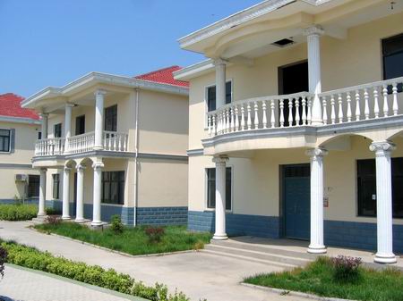 参观兴化市张郭镇