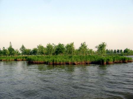 参观溱湖湿地风景区,亲密接触大自然