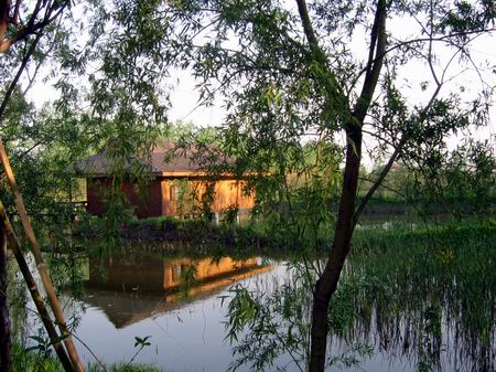 参观溱湖湿地风景区,亲密接触大自然
