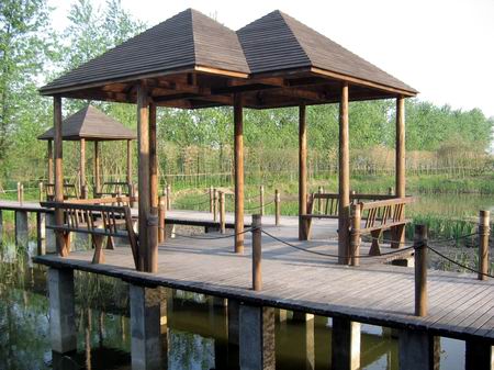 参观溱湖湿地风景区,亲密接触大自然