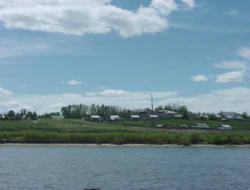 汽车品牌占有量_森林的人均占有量(2)