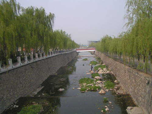 感受西译――一所民办院校的悲欢