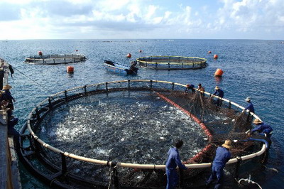 海南大力发展海洋养殖业