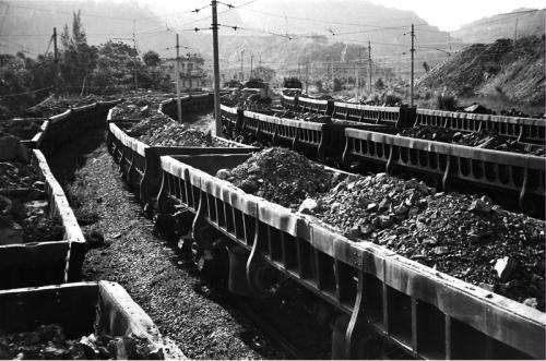 今年是海南建省办经济特区20周年