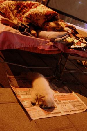 成都市民在街上过夜躲避余震