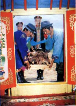 民族节日】白节