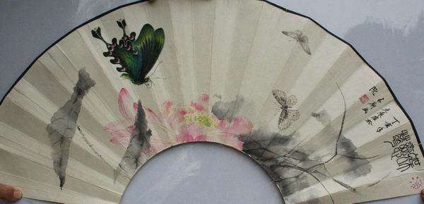 花鸟虫鱼画家--王大东