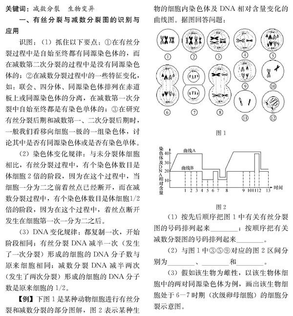 减数分裂在理解遗传学上的应用