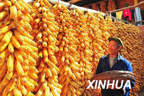 《中共中央关于推进农村改革发展若干重大问题