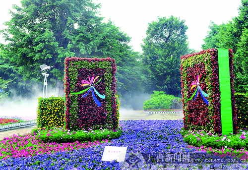喜迎盛会 300万盆鲜花装点南宁