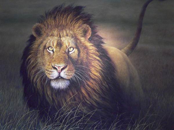 动物肖像画家张东光