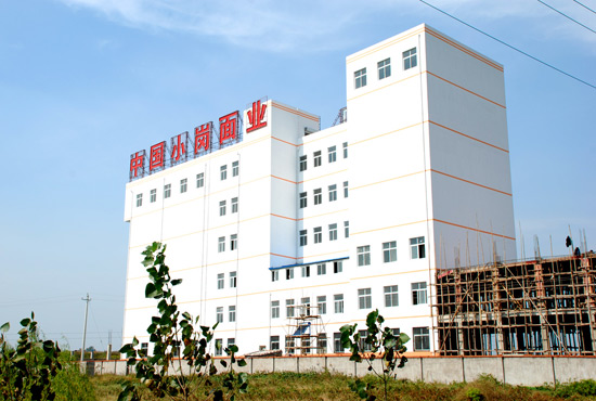 小岗村乡镇企业蓬勃发展