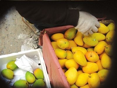北京部分商贩被指用石灰兑药水捂熟生芒果