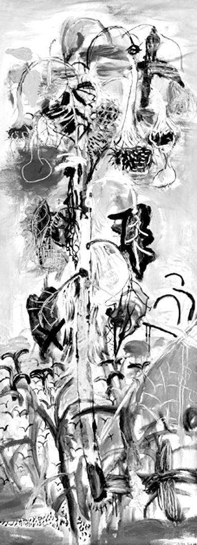 赵开坤:十月的收获