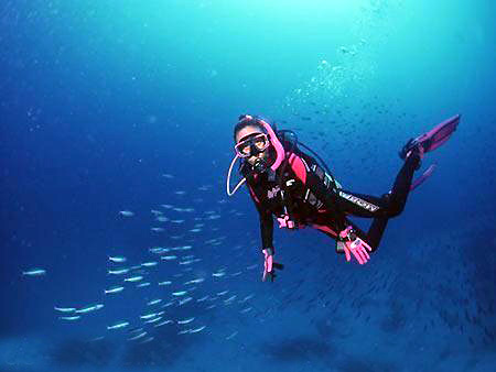 新手学潜水 装备篇