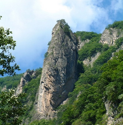 2008年元月被国家林业局批准为陕西