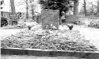 柏林一处墓地内铺满松枝的墓穴