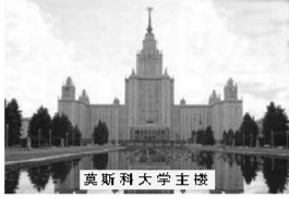 alt=