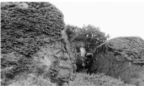 歇马山的藏兵洞 歇马山的藏兵洞