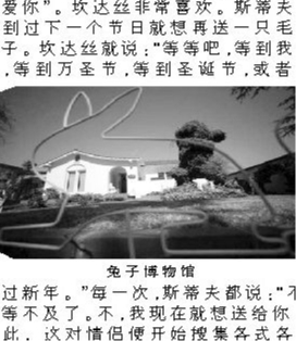 兔子博物馆 兔子博物馆