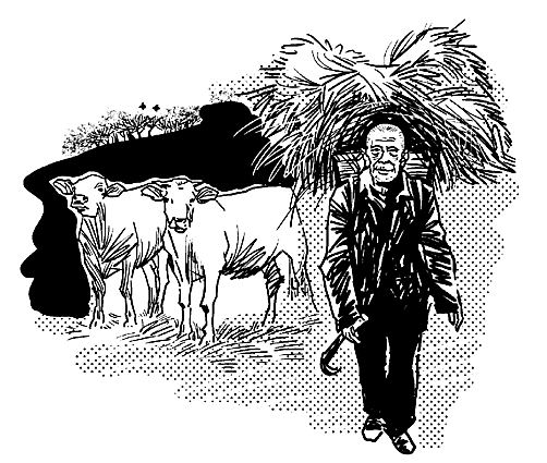 父亲与牛(小说)
