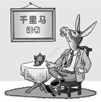 来历不明